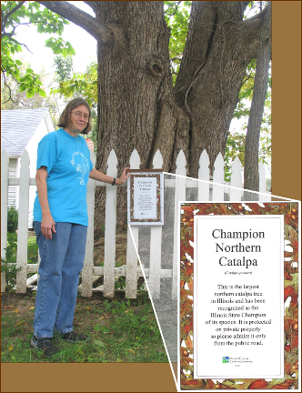 Edie Sternberg with the plaque for the Catalpa tree