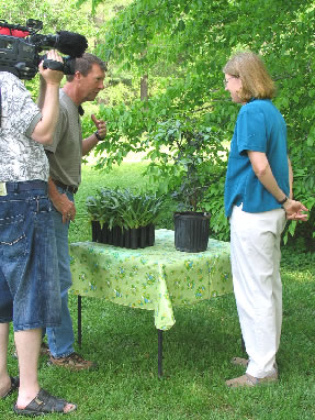 EDIE IS INTERVIEWED BY WECS 