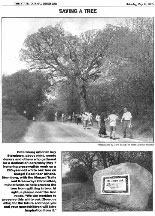 STATE JOURNAL-REGISTER article agout saving The Gudgel Oak