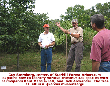 Guy Sternberg explains how to identify various oak species