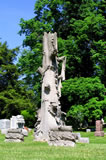 The Victorian Hamer-Brant Treestone in Oak Ridge Cemetery, Springfield, Illinois -- truly a "monumental" tree!