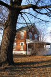 The historic Gilpin house in Dallas City, Illinois is framed by an equally historic American chestnut tree