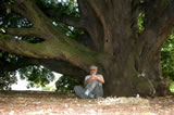 The first (ortet) plant of the hybrid oak Quercus xturneri (Q. robur x Q. ilex), never found in the wild until recently in northern Spain, grows at the Royal Botanic Garden Kew