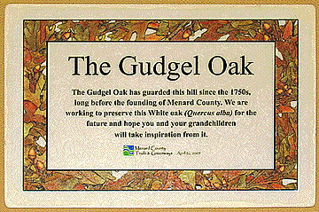 Plaque  about the Gudgel Oak is mounted on granite boulder