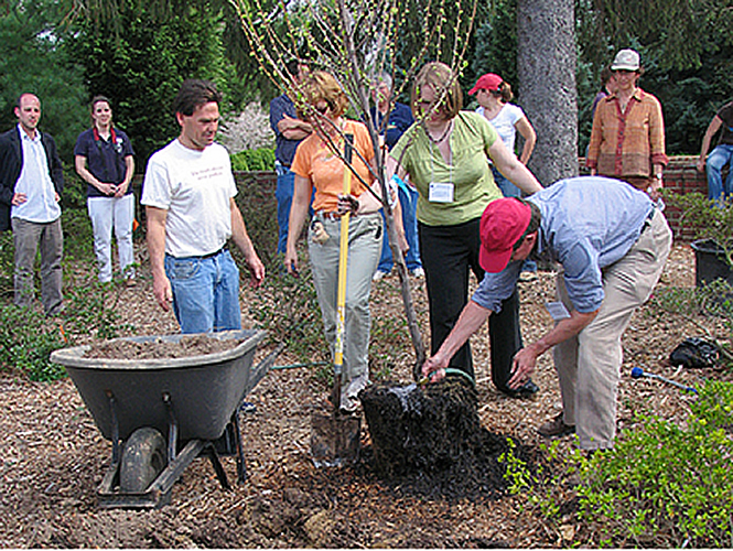 Plant Workshop