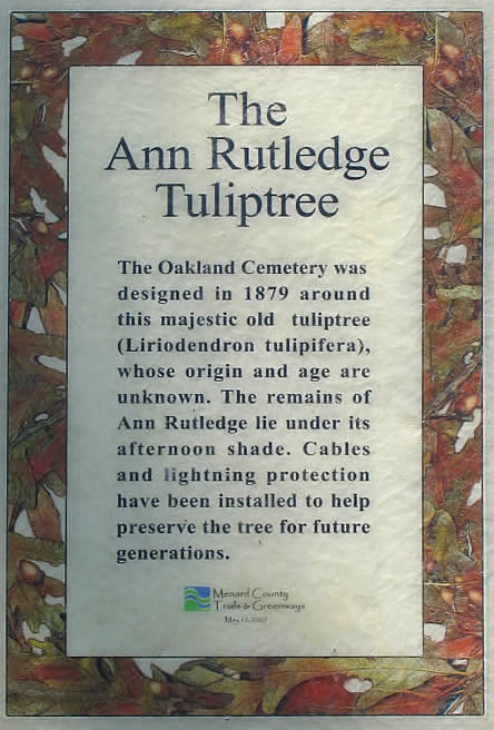 THE ANN RUTLEDGE TULIPTREE PLAQUE